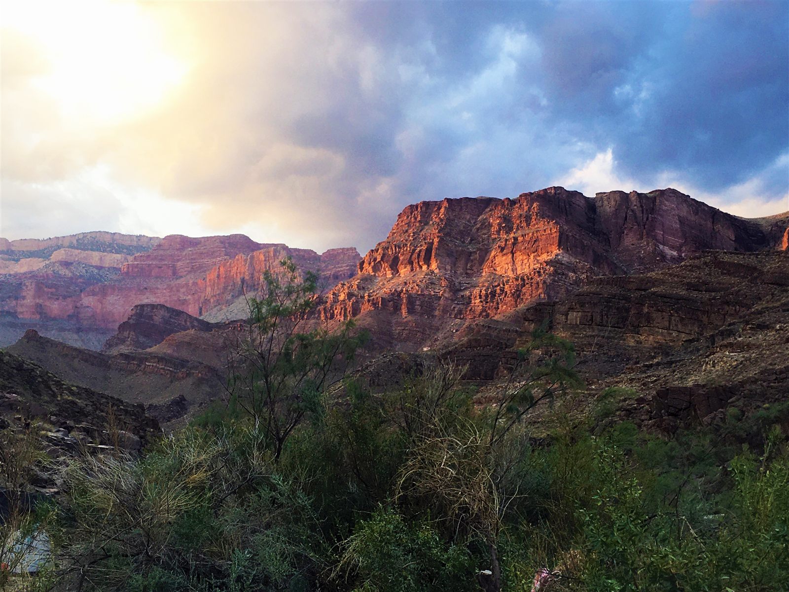 Sunset light on the layered canyon walls of the Grand Canyon, with riparian trees in the foreground.