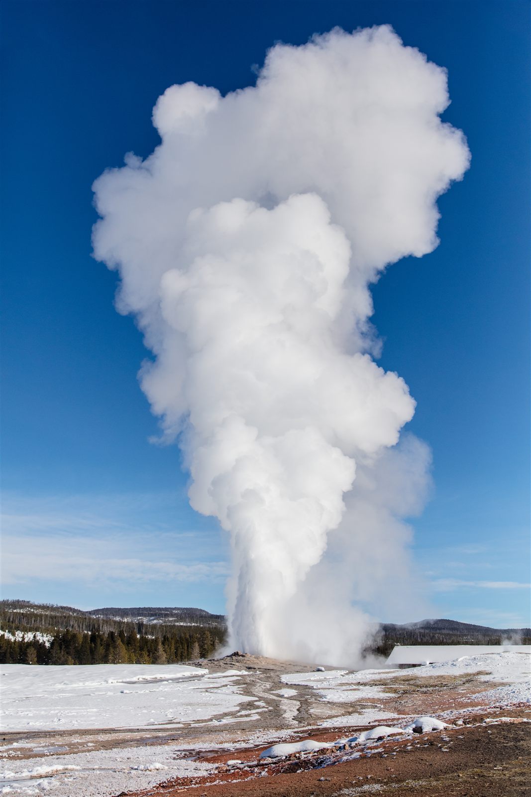 Old Faithful Geyser erupting on a clear winter day in Yellowstone National Park.