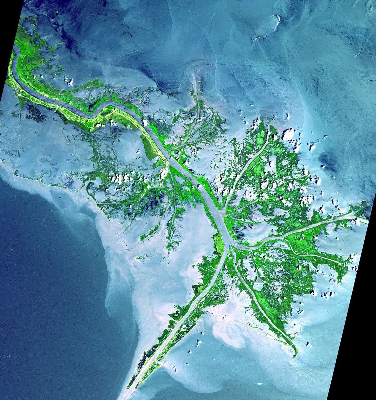 False-color satellite image of sediment spreading from the Mississippi River delta into the Gulf of Mexico.
