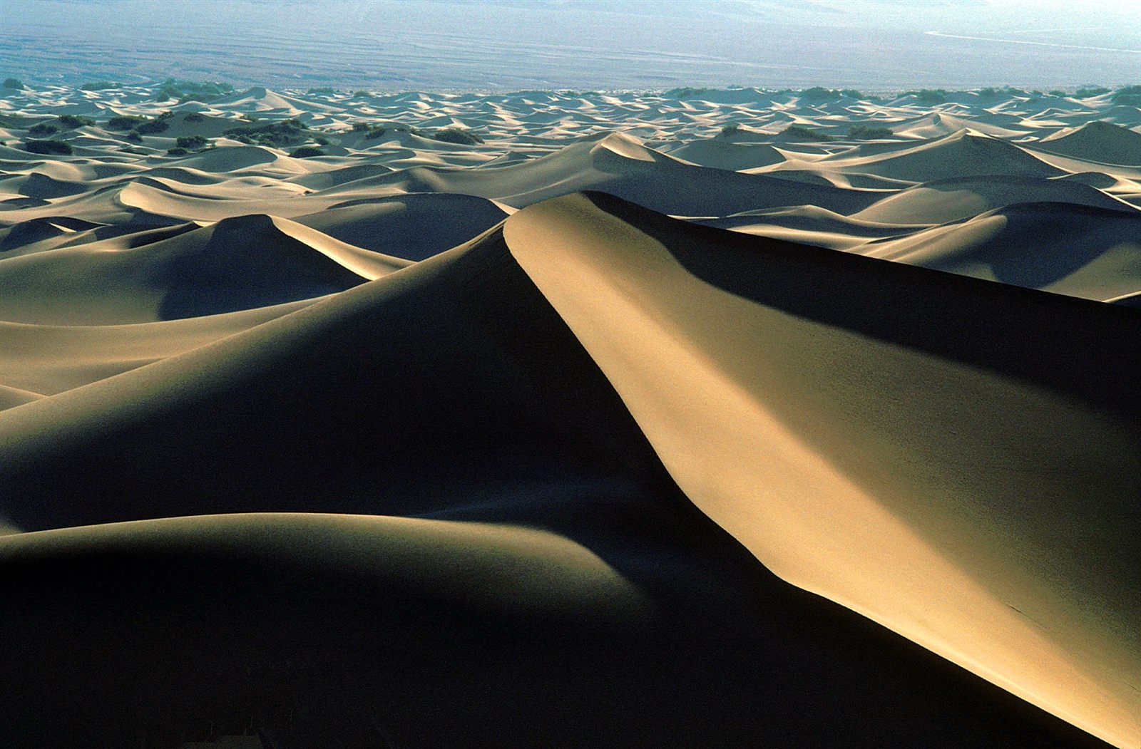 Wind-rippled sand at the Mesquite Flat Dunes, Death Valley National Park.