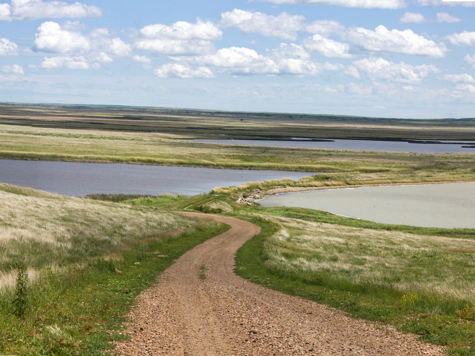 A dirt road winding through ponds and prairie grassland of the Northern Great Plains.