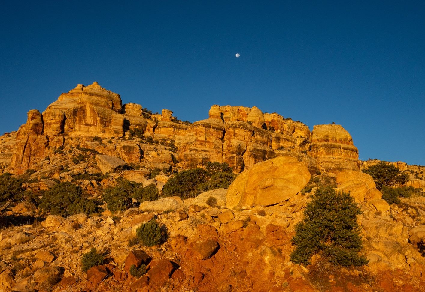 The Great Unconformity at Colorado National Monument, where ancient granite meets much younger rock.